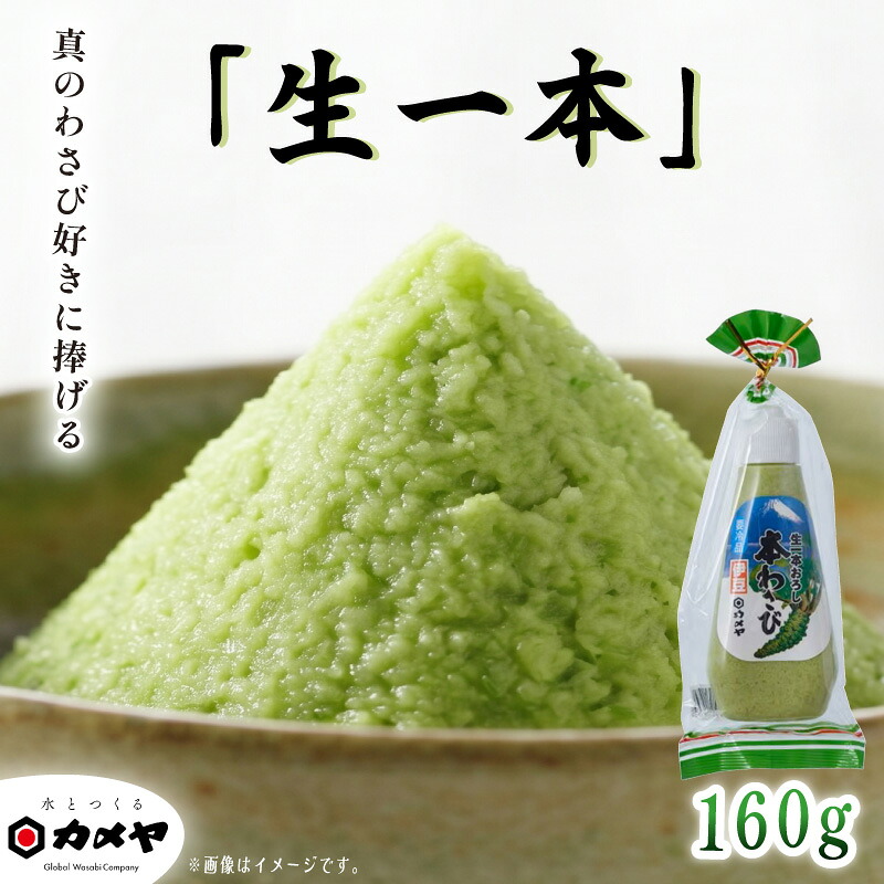 生一本おろし本わさび 1本 160g 大容量 山葵 ワサビ 本わさび わさび 調味料 わさびチューブ わさびおろし ごはん ごはんのお供 ご飯のお供 個包装  贈答 わさび屋 カメヤ食品株式会社 伊豆