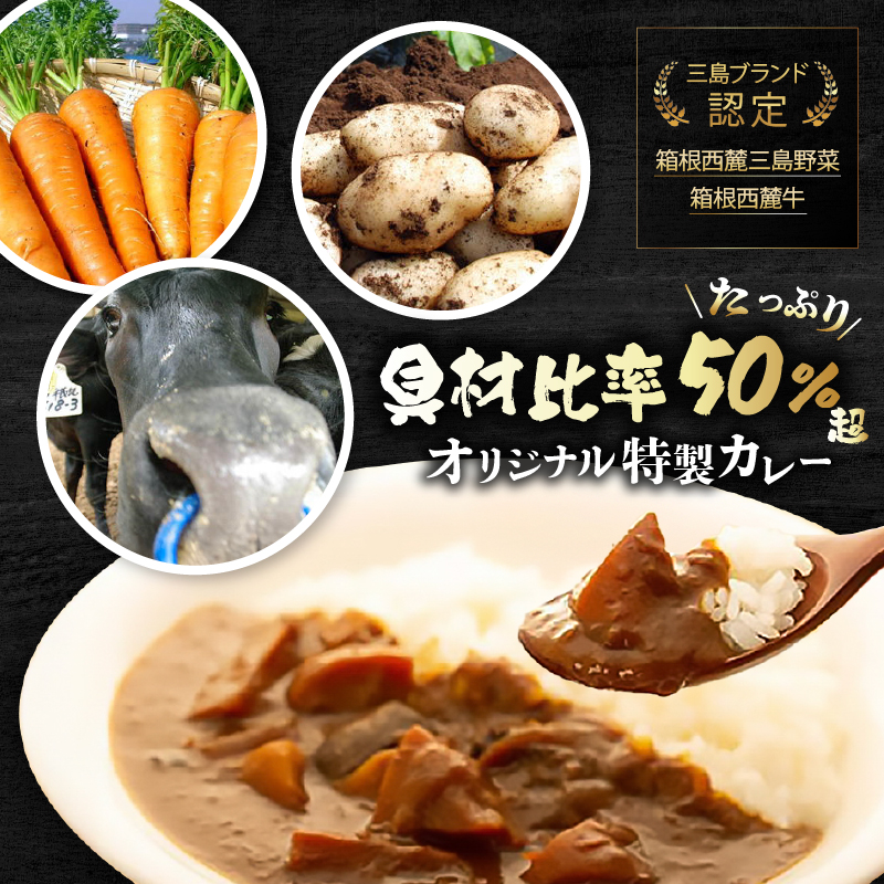 厳選素材プレミアムカレー 選べる個数 4食 8食 セット カレー レトルト レトルトカレー ご当地カレー 野菜 じゃがいも 玉ねぎ 肉 牛肉 惣菜 レトルト食品 防災 災害 災害用品 防災グッズ 長期保存 静岡県 三島市
