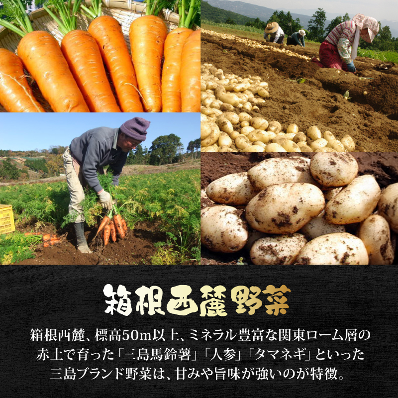 厳選素材プレミアムカレー 選べる個数 4食 8食 セット カレー レトルト レトルトカレー ご当地カレー 野菜 じゃがいも 玉ねぎ 肉 牛肉 惣菜 レトルト食品 防災 災害 災害用品 防災グッズ 長期保存 静岡県 三島市