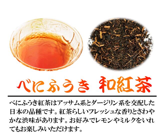 べにふうき 和紅茶 ティーバッグ ( 2g 10包 ) 5袋セット 岡部茶 静岡県産 静岡県 藤枝市
