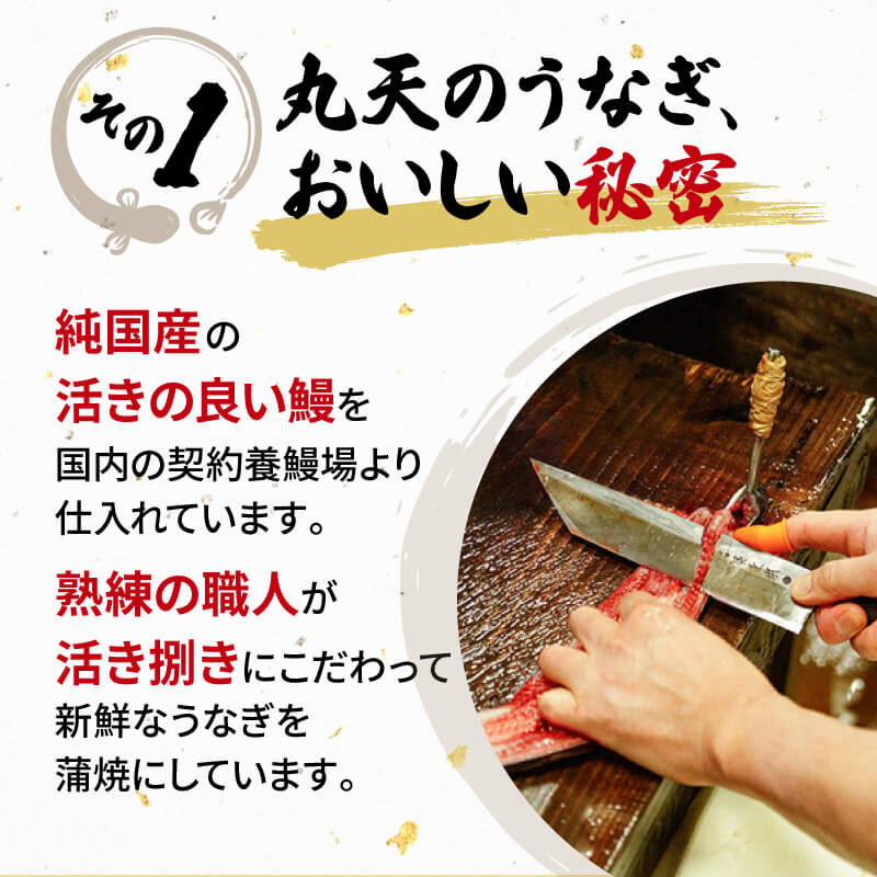定期便 全3回 うなぎ 国産 蒲焼 120g × 2尾 計720g 鰻蒲焼 ウナギ 土用 丑の日 JAS認定 活鰻 特製無添加たれ 山椒 ギフト 贈答 冷凍 養殖 海鮮 真空パック レンジ 調理 湯煎
