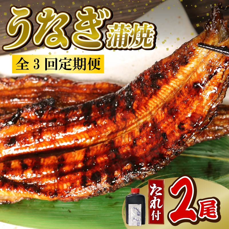 うなぎ 蒲焼 大姿焼き 2尾