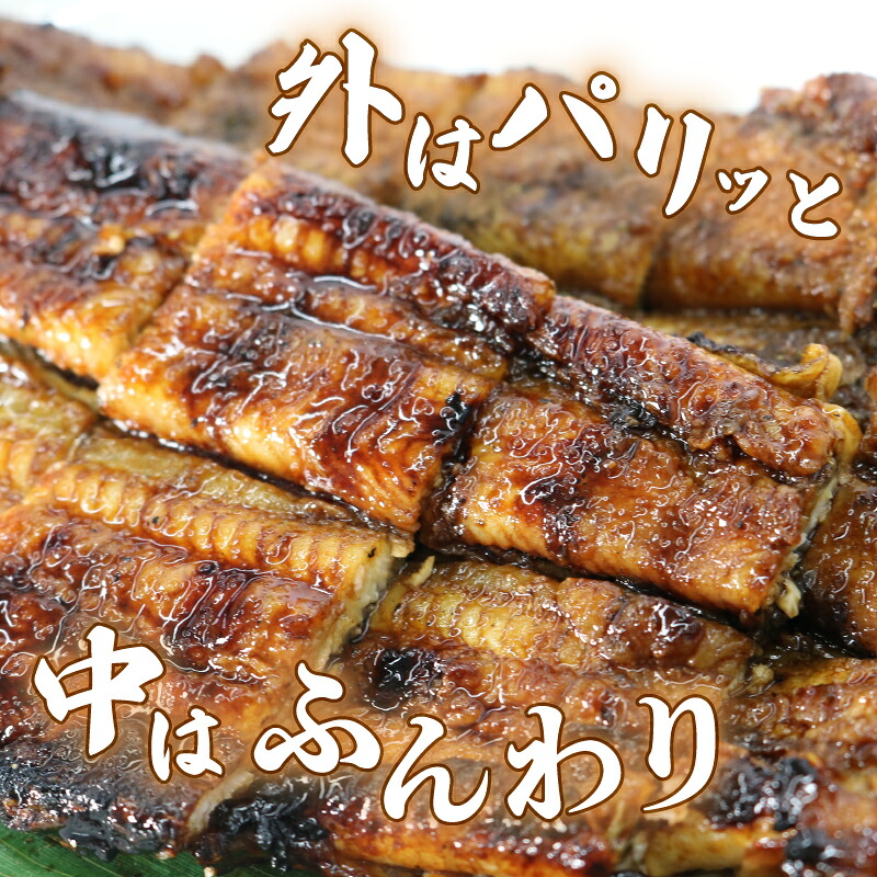 【全3回定期便】うなぎ 蒲焼 大姿焼き 2尾 (140g×2)  定期便  鰻蒲焼 ウナギ かばやき 土用 丑の日  活鰻 自家製蒲焼 たれ 山椒 ギフト 贈答   冷蔵 まとめ買い 静岡県 藤枝 ふ