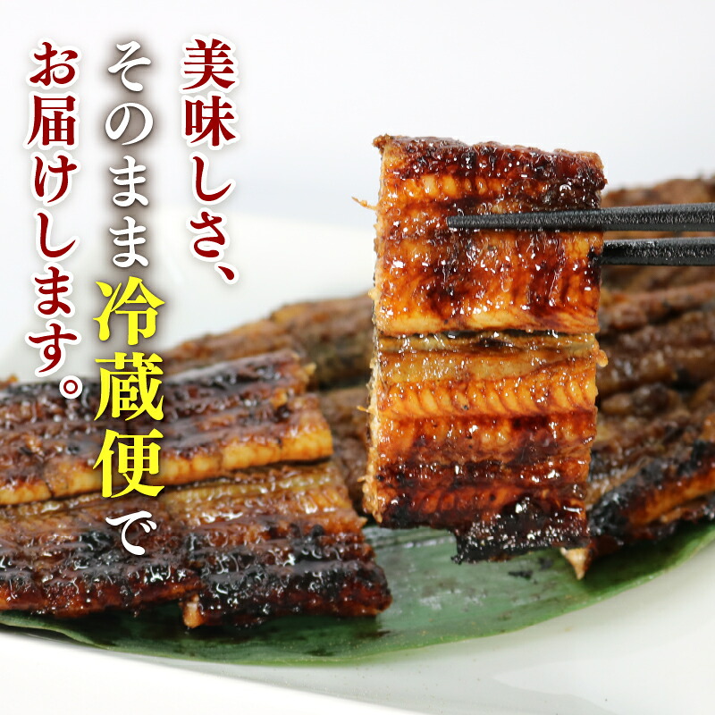 【全3回定期便】うなぎ 蒲焼 大姿焼き 2尾 (140g×2)  定期便  鰻蒲焼 ウナギ かばやき 土用 丑の日  活鰻 自家製蒲焼 たれ 山椒 ギフト 贈答   冷蔵 まとめ買い 静岡県 藤枝 ふ