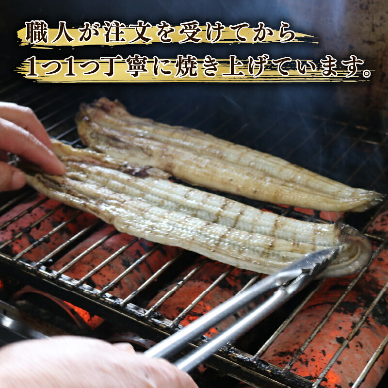 【全6回定期便】うなぎ 蒲焼 大姿焼き 2尾 (140g×2) 定期便 鰻蒲焼 ウナギ かばやき 土用 丑の日 活鰻 自家製蒲焼 たれ 山椒 ギフト 贈答 冷蔵 まとめ買い 静岡県 藤枝 ふ