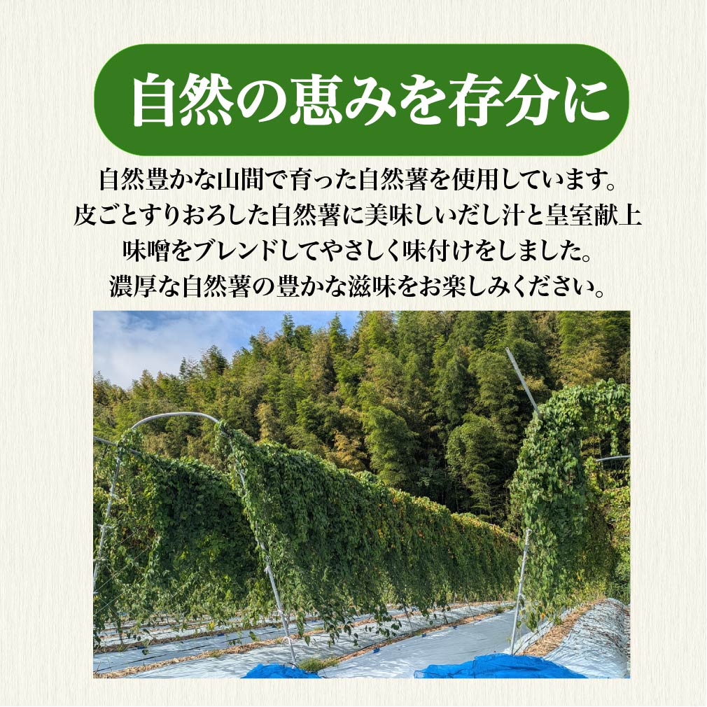 とろろ 冷凍 125g × 6個 自然薯 100% 小分け セット とろろ汁 長芋 山芋 お手軽 農林水産省賞 受賞 ご飯 お供 そば つけ汁 健康 栄養 夏 バテ とろろ芋 個包装 静岡県 藤枝市