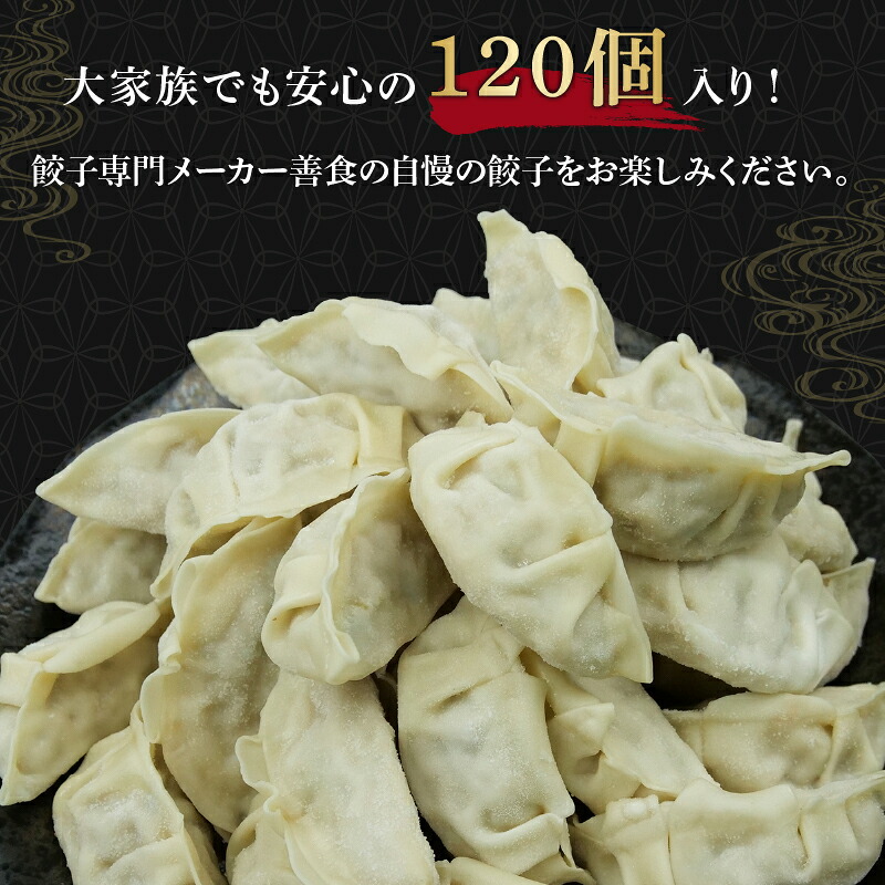 餃子 120個 野菜 豚肉 冷凍 餃子 大きめ ぎょうざ ギョウザ おつまみ 惣菜 中華 惣菜 業務用 おかず ビール ランキング 弁当 簡単調理