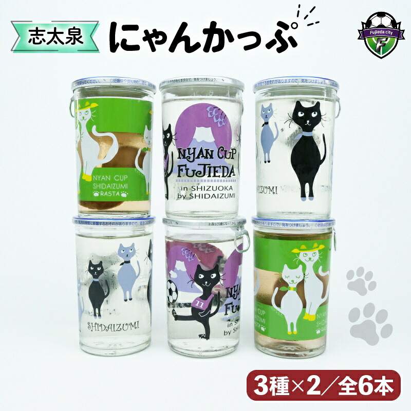 日本酒 酒 志太泉 ワンカップ 6本