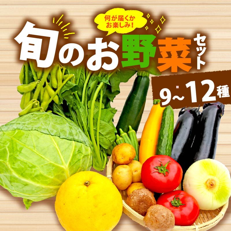 野菜 詰め合わせ おまかせ 野菜詰合せ （9～12種） 野菜 詰合せ 9～12種  旬 まんさいかん ボックス 静岡県 藤枝市