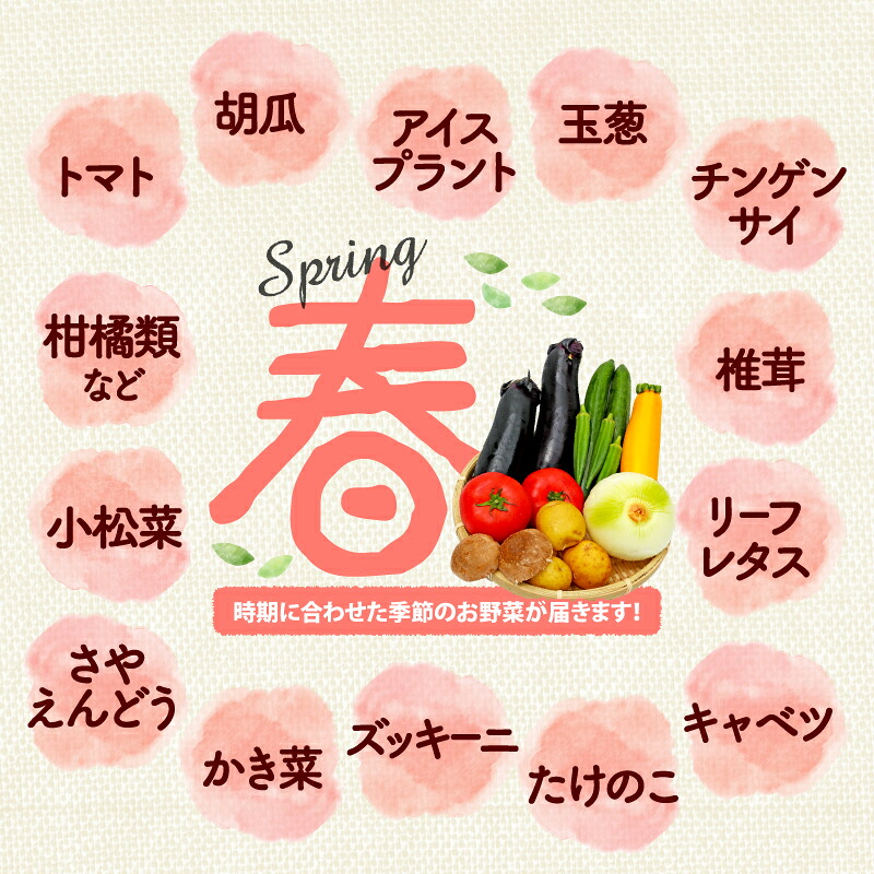 野菜 詰め合わせ おまかせ 野菜詰合せ （9～12種） 野菜 詰合せ 9～12種  旬 まんさいかん ボックス 静岡県 藤枝市