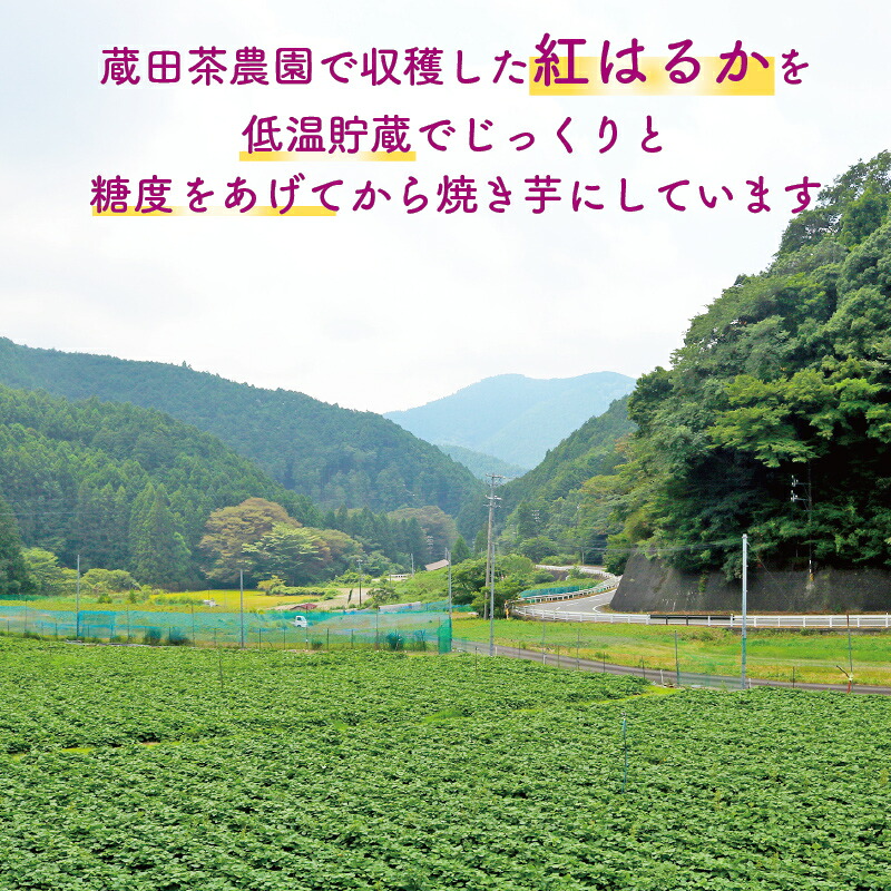 紅はるか 冷凍 焼き芋 1キロ さつまいも スイーツ デザート アレンジ 電子レンジ 調理 やきいも いも 芋 静岡県 藤枝市
