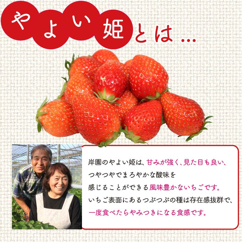 先行予約 2027年1月~4月配送 やよい姫 約920g 230g 4パック いちご 完熟 苺 産地 直送 フレッシュ イチゴ 贈答 フルーツ 果物 国産 静岡 期間限定 数量限定 苺 イチゴ 旬 フルーツ 果物 くだもの 春