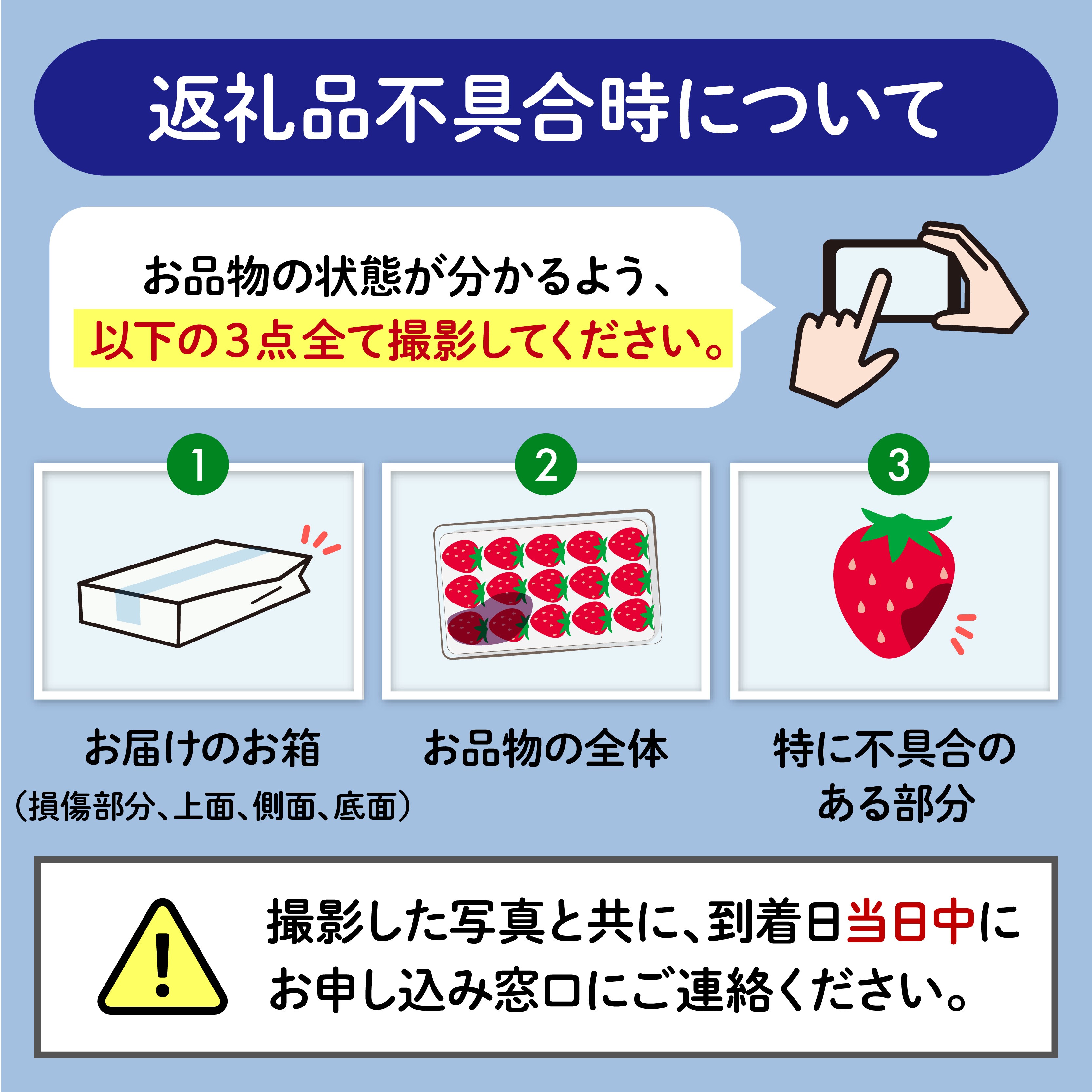 先行予約 2027年1月~4月配送 やよい姫 約920g 230g 4パック いちご 完熟 苺 産地 直送 フレッシュ イチゴ 贈答 フルーツ 果物 国産 静岡 期間限定 数量限定 苺 イチゴ 旬 フルーツ 果物 くだもの 春