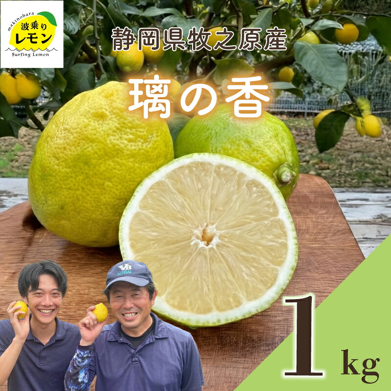 【国産 レモン】牧之原産 波乗りレモン 璃の香 1kg 国産 Lemon 檸檬 柑橘類 柑橘 フルーツ 果物 酸っぱい 果肉 酸味 防腐剤不使用 自宅用 贈答品 レモンスカッシュ レモンパウンドケー