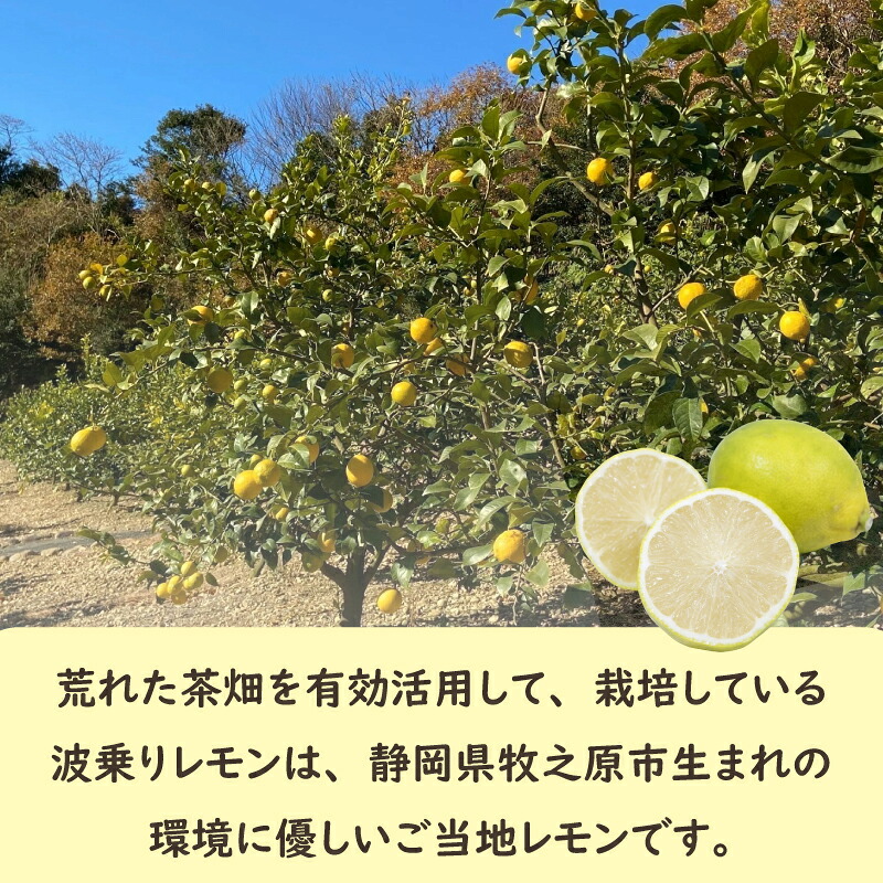 【国産 レモン】牧之原産 波乗りレモン 璃の香 1kg 国産 Lemon 檸檬 柑橘類 柑橘 フルーツ 果物 酸っぱい 果肉 酸味 防腐剤不使用 自宅用 贈答品 レモンスカッシュ レモンパウンドケー