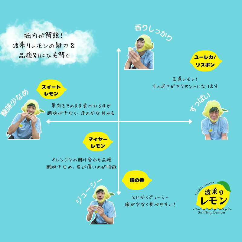 【国産 レモン】牧之原産 波乗りレモン 璃の香 1kg 国産 Lemon 檸檬 柑橘類 柑橘 フルーツ 果物 酸っぱい 果肉 酸味 防腐剤不使用 自宅用 贈答品 レモンスカッシュ レモンパウンドケー