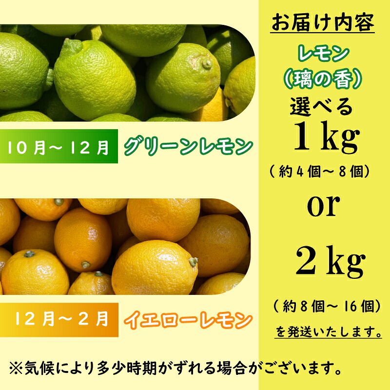 【国産 レモン】牧之原産 波乗りレモン 璃の香 1kg 国産 Lemon 檸檬 柑橘類 柑橘 フルーツ 果物 酸っぱい 果肉 酸味 防腐剤不使用 自宅用 贈答品 レモンスカッシュ レモンパウンドケー