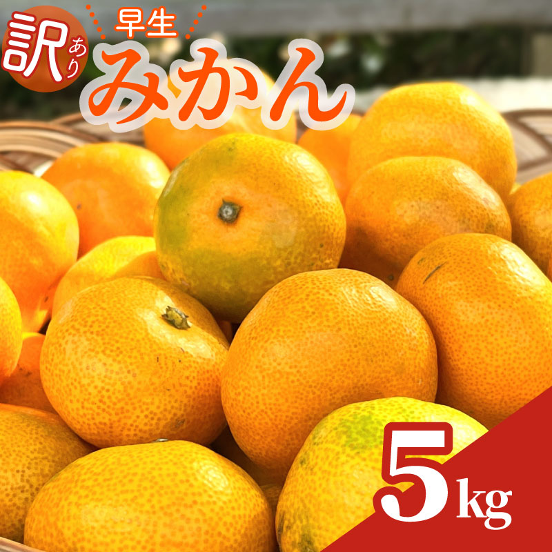 【数量限定】訳あり 早生みかん 約 5kg 日南 早生 温州 みかん 先行予約 2026年 10月 中旬 から 発送 期間限定 早生みかん わせみかん ミカン 蜜柑 mikan 柑橘 果物 フルーツ