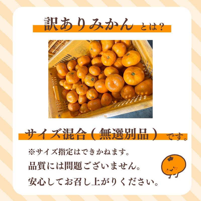 【数量限定】訳あり 早生みかん 約 5kg 日南 早生 温州 みかん 先行予約 2026年 10月 中旬 から 発送 期間限定 早生みかん わせみかん ミカン 蜜柑 mikan 柑橘 果物 フルーツ
