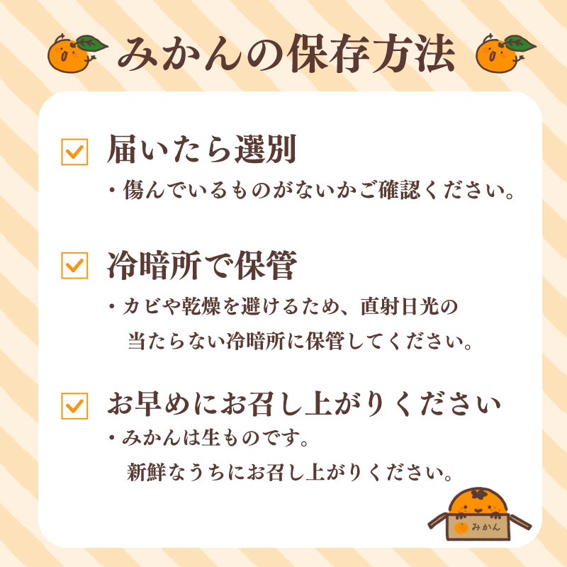 【数量限定】訳あり 早生みかん 約 5kg 日南 早生 温州 みかん 先行予約 2026年 10月 中旬 から 発送 期間限定 早生みかん わせみかん ミカン 蜜柑 mikan 柑橘 果物 フルーツ