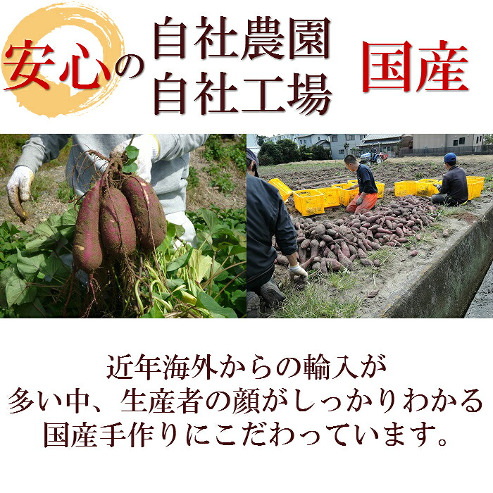 【訳あり】 100％天然 干し芋 750g ～ 1.75kg ほしいも 国産 わけあり 不揃い がんこ 切干し 干しいも ほしいも さつまいも いも 10000円 1万円 和菓子