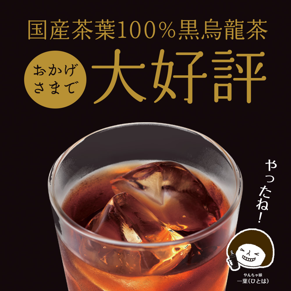 【国産 黒烏龍茶】静岡県産 黒烏龍茶 500ml × 24本 ペットボトル 黒ウーロン茶 国産 送料無料 防災 備蓄 いなば園 ウーロン茶 烏龍茶 うーろんちゃ お茶 茶 ティー おちゃ tea ペッ