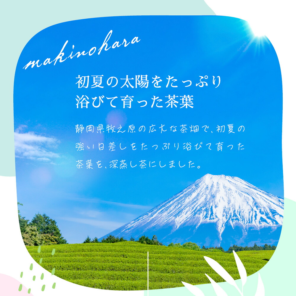 深蒸し 牧之原茶 100g入×15袋1.5kg お茶農家直送 静岡茶 お茶 茶 飲料 国産 茶葉 深蒸し茶 深蒸し製法 コク 丸新柴本製茶 深蒸し茶 牧之原茶 静岡 まとめ買い 緑茶 まろやか あた