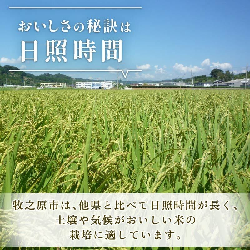【令和8年度産 】 新米 5kg にじのきらめき 10月より順次発送予定 訳あり 袋おまかせ 予約受付 数量限定 期間限定 令和8年度産 お米 白米 新米 ご飯 ごはん おいしい おにぎり