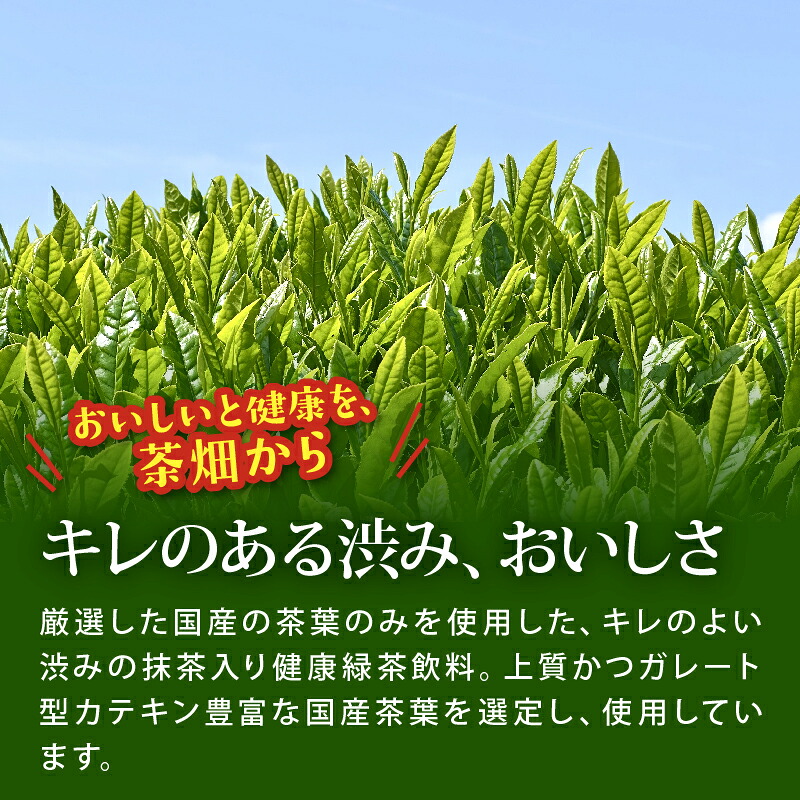 【定期便3か月】おーいお茶 濃い茶 1L × 12本3回 お届け 防災備蓄 茶 ペットボトル 飲料 緑茶 機能性表示食品 お茶 おちゃ ペットボトル飲料 ドリンク 飲み物 飲みもの 日用品 生活必需品