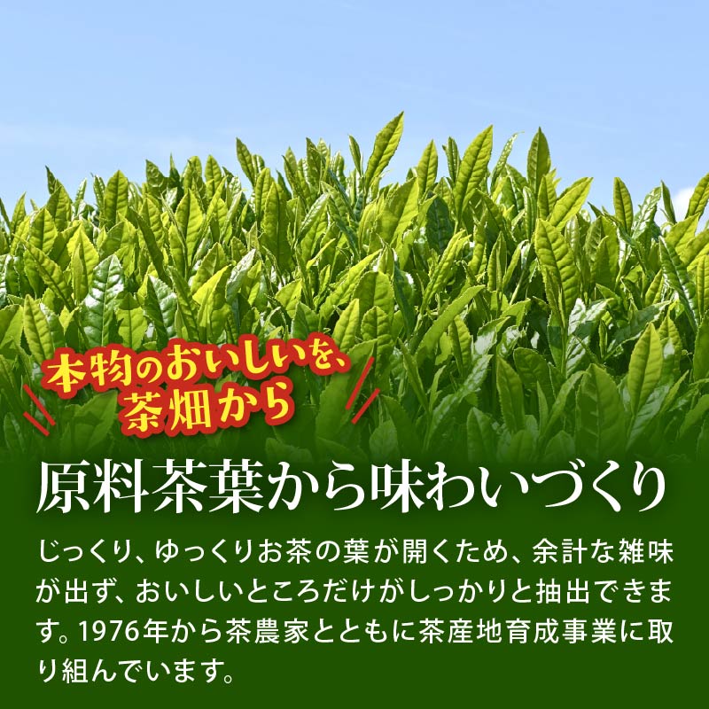 【定期便3か月】おーいお茶 緑茶 1L × 12本 3回お届け 定期便 茶 ペットボトル 飲料 ペットボトル飲料 おちゃ 緑茶飲料 飲み物 茶 りょくちゃ ちゃ tea アウトドア 日常 常備 備蓄