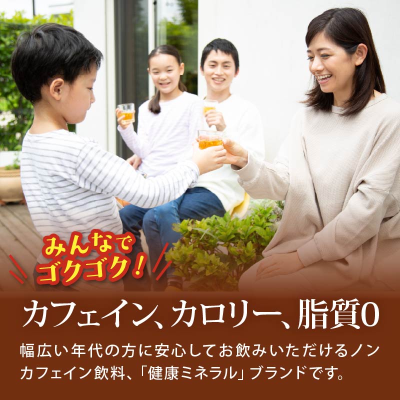 【定期便3か月】 健康ミネラル むぎ茶 2L × 6本 3回 お届け お茶 ペットボトル 飲料 ペットボトル飲料 おちゃ 麦茶飲料 お茶飲料 ちゃ 飲み物 茶 アウトドア 日常 常備 備蓄 防災 防