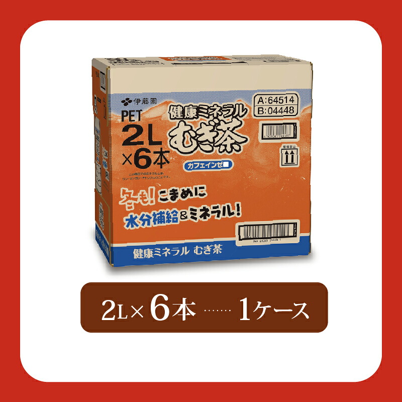 【定期便3か月】 健康ミネラル むぎ茶 2L × 6本 3回 お届け お茶 ペットボトル 飲料 ペットボトル飲料 おちゃ 麦茶飲料 お茶飲料 ちゃ 飲み物 茶 アウトドア 日常 常備 備蓄 防災 防