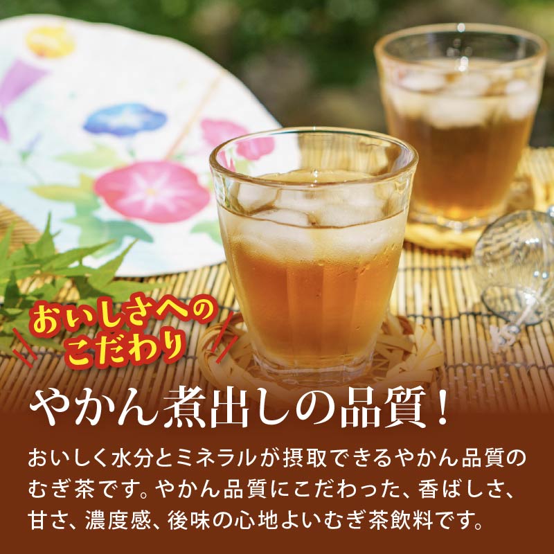 131-22000【定期便6か月】健康ミネラル むぎ茶 2L × 6本 6回 お届け カフェインゼロ 防災備蓄 茶 ペットボトル 飲料 伊藤園 ノンカフェイン 麦茶 お茶 水分補給 備蓄 災害 熱中症
