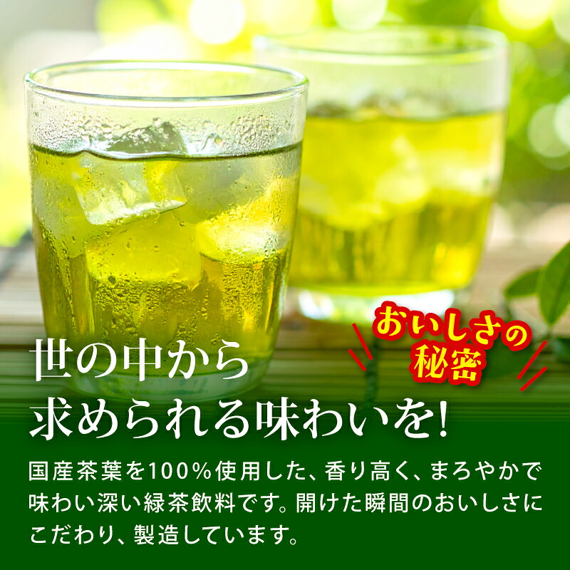 【おーいお茶 緑茶】 600mL × 24本 お茶 ペットボトル 飲料 ペットボトル飲料 おちゃ りょくちゃ 緑茶飲料 お茶飲料 飲み物 茶葉 茶 tea ティー アウトドア 日常 常備 備蓄 防災