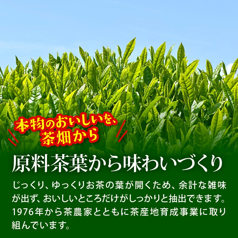【おーいお茶 緑茶】緑茶 計 48本 600mL × 24本 2ケース 防災備蓄 茶 ペットボトル 飲料 ペットボトル飲料 おちゃ 緑茶飲料 飲み物 茶 りょくちゃ tea アウトドア 日常 常備 備