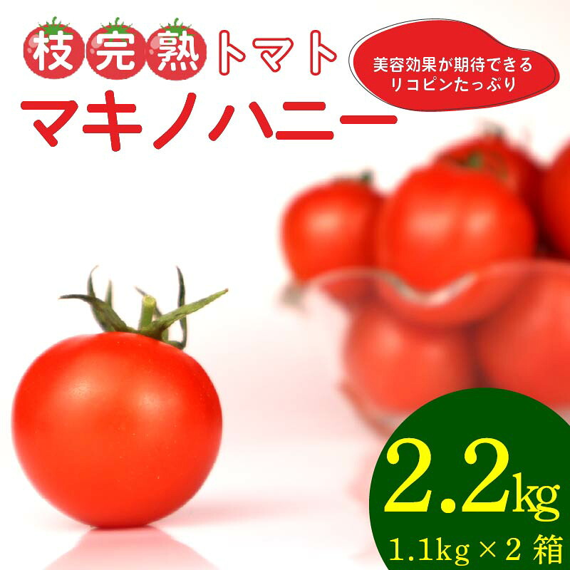 トマト 中玉 2.2kg 以上 マキノハニー 枝完熟 トマト トマトップ 高 リコピン うまみ 甘い 新鮮 野菜 産地直送 やさい ビタミン 静岡県 牧之原市 まるごと 甘味 うまみ 甘い 新鮮 野菜