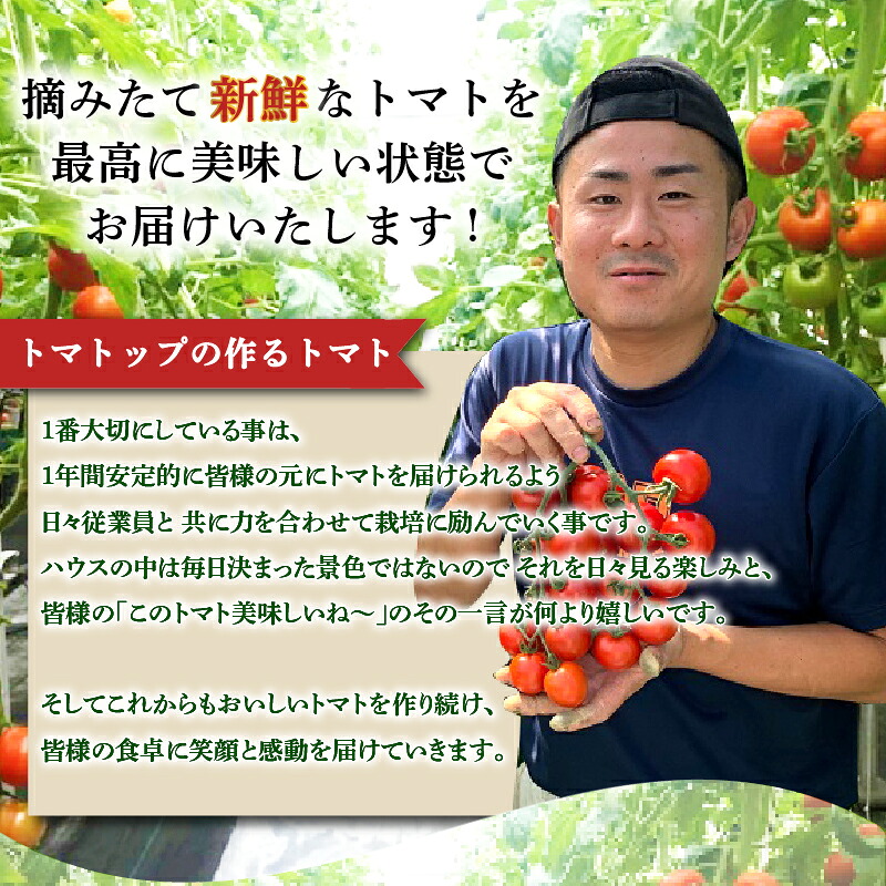 【訳あり】トマト 1kg 前後 中玉 マキノハニー 枝完熟 へたなし ヘタなし 便利 甘い 皮 柔らかい わけあり ワケあり 夏野菜 やさい 緑黄色野菜 旬 しゅん 生 国産 鮮度 お弁当 こだわり