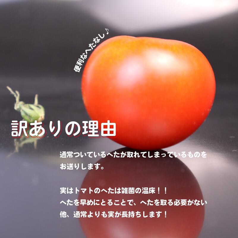 【訳あり】トマト 1kg 前後 中玉 マキノハニー 枝完熟 へたなし ヘタなし 便利 甘い 皮 柔らかい わけあり ワケあり 夏野菜 やさい 緑黄色野菜 旬 しゅん 生 国産 鮮度 お弁当 こだわり