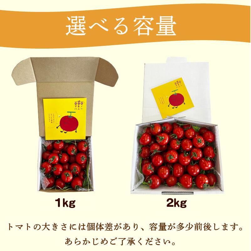 【訳あり】トマト 1kg 前後 中玉 マキノハニー 枝完熟 へたなし ヘタなし 便利 甘い 皮 柔らかい わけあり ワケあり 夏野菜 やさい 緑黄色野菜 旬 しゅん 生 国産 鮮度 お弁当 こだわり