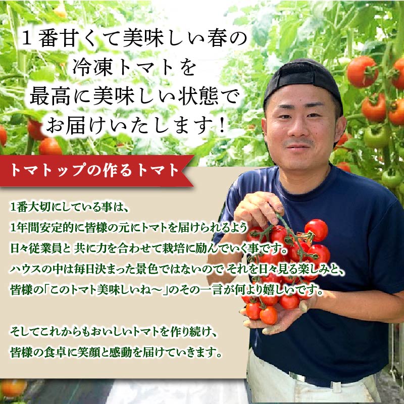 冷凍 トマト 中玉 2kg 以上 マキノハニー 枝完熟 トマト トマトップ 高 リコピン うまみ 甘い 新鮮 野菜 産地直送 やさい ビタミン おすすめ 人気 送料無料 冷凍トマト 果物 フルーツ く