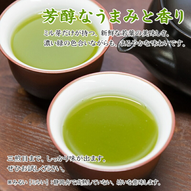 【緑茶】特上 深蒸し茶 100g × 3本 摘みたて  お茶 茶 茶葉  新茶 ちゃば 急須 HOT 暑い  特産品 産地直送 日用品 便利 お手軽 簡単 おすすめ 送料無料 人気 お湯 ふかむし