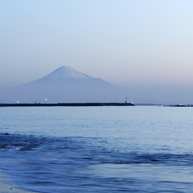 海まで0分の宿　ペットも泊まれる海岸通り　ペア宿泊券（金目鯛コース）の幸 海鮮料理 海辺の宿 海岸まで近い 砂浜が目の前 ペット同伴OK ペット宿泊無料 夏休み 冬休み 海鮮と海水浴プラン マリンスポ