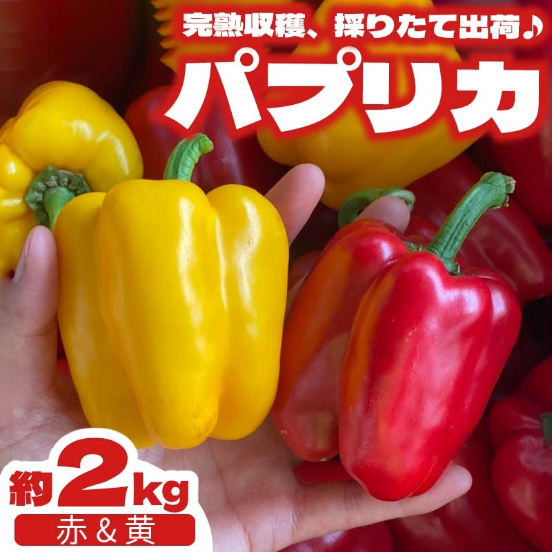 パプリカ 2kg