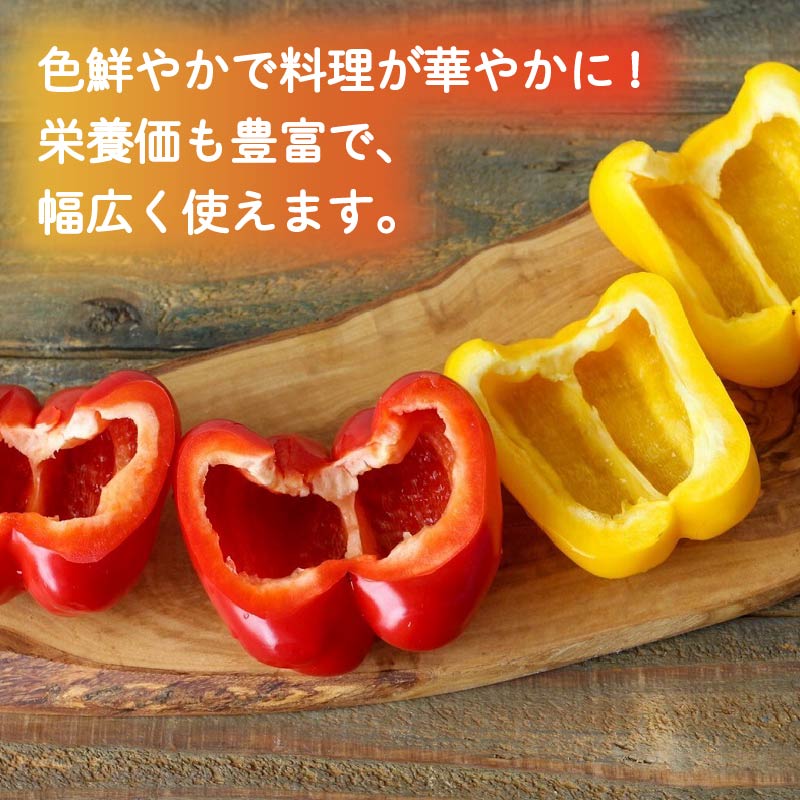 パプリカ 3kg 和 パプリカ 国産 牧之原産 和ぷりか 赤 ＆ 黄色 セット サラダ 野菜 やさい おいしい 完熟 詰め合わせ 甘い 小ぶり 色鮮やか 自然 セット 美味しい たっぷり 旬の野菜 セ