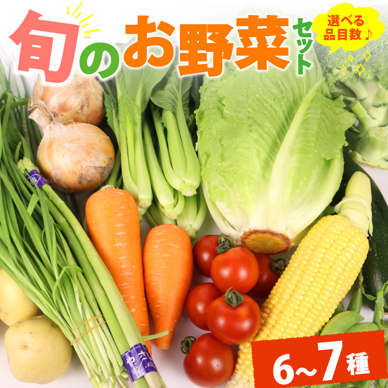 【朝採れ】野菜 セット 6~12品目 以上お野菜 季節 野菜 旬 新鮮 産地直送 詰め合わせ やさい おいしい セット 美味しい トマト 枝豆 キャベツ  レタス 人参 じゃがいも 小松菜
