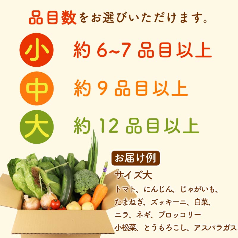 【朝採れ】野菜 セット 6~12品目 以上お野菜 季節 野菜 旬 新鮮 産地直送 詰め合わせ やさい おいしい セット 美味しい トマト 枝豆 キャベツ レタス 人参 じゃがいも 小松菜