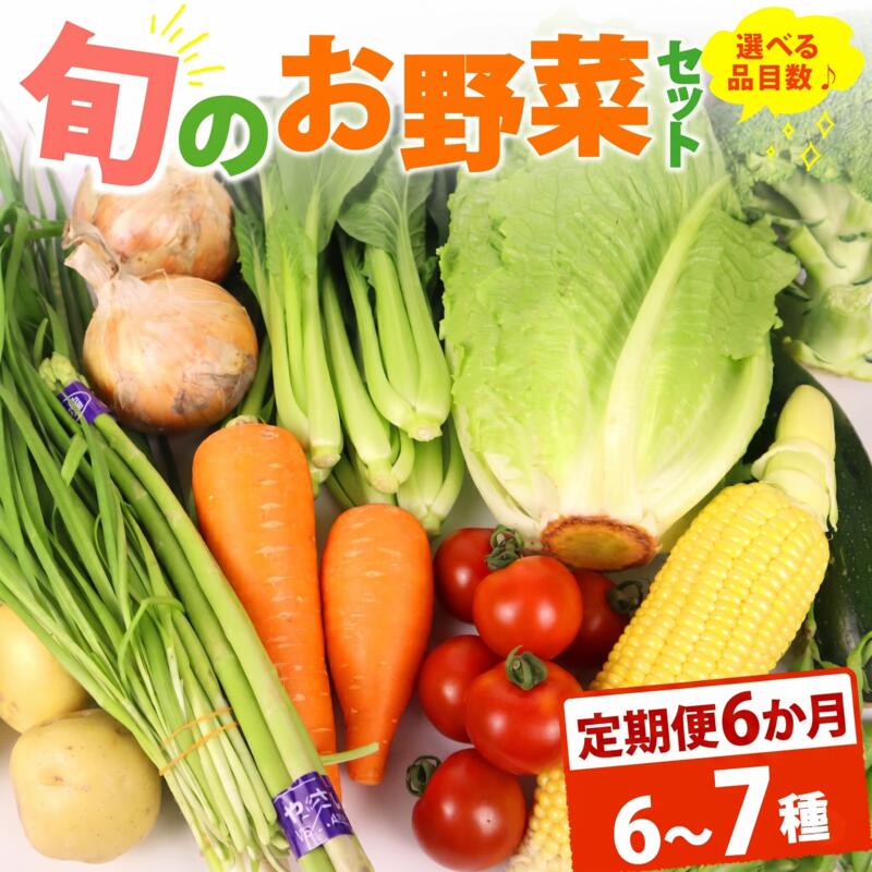 【朝採れ】定期便 6か月 野菜 セット 6~7品目 以上 お野菜 季節 野菜 旬 新鮮 産地直送 詰め合わせ やさい おいしい セット 美味しい たっぷり 旬の野菜 セット 詰め合わせ  国産 新鮮