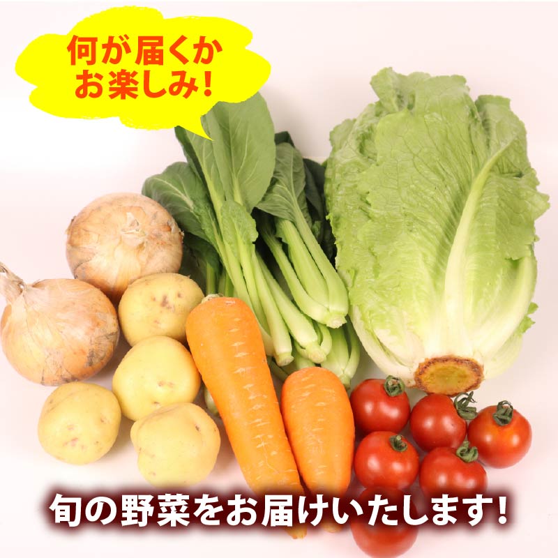 【朝採れ】定期便 6か月 野菜 セット 6~7品目 以上 お野菜 季節 野菜 旬 新鮮 産地直送 詰め合わせ やさい おいしい セット 美味しい たっぷり 旬の野菜 セット 詰め合わせ  国産 新鮮