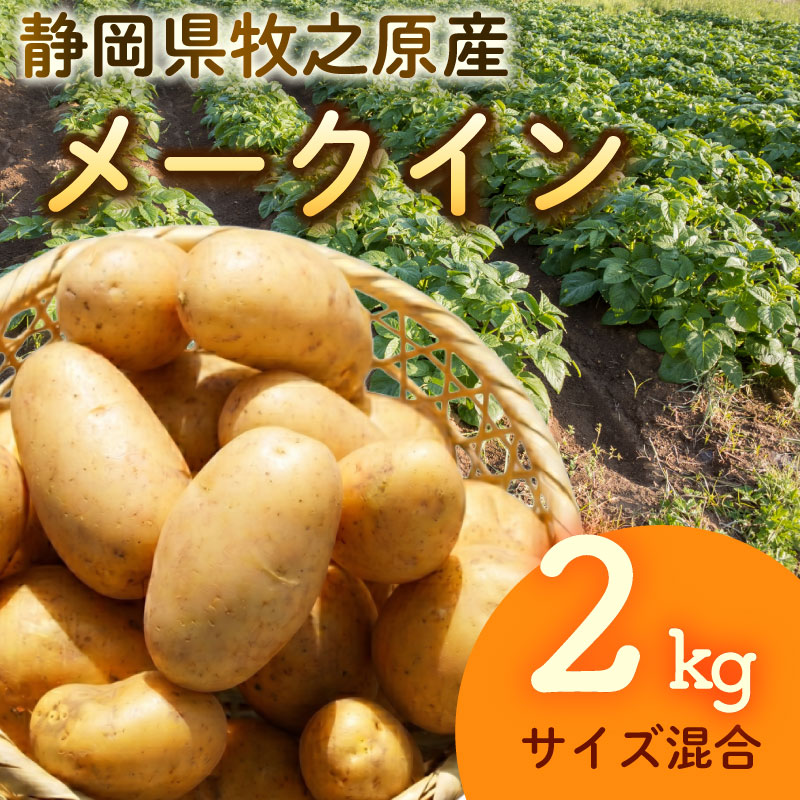 【先行予約 2027年3月順次発送 国産 じゃがいも】掘りたて メークイン 2kg 国産 牧之原産  美味しい たっぷり 旬 野菜 国産 新鮮 お試し 牧之原産 サラダ 野菜 朝採れ 季節の野菜 食品