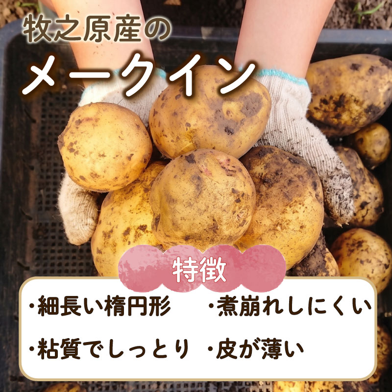 【先行予約 2027年3月順次発送 国産 じゃがいも】掘りたて メークイン 2kg 国産 牧之原産  美味しい たっぷり 旬 野菜 国産 新鮮 お試し 牧之原産 サラダ 野菜 朝採れ 季節の野菜 食品